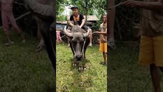 Download lagu Carabao Ride mp3 Download lagu Carabao Ride mp3