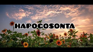 Download lagu Hapogosonta ( Lirik ) mp3