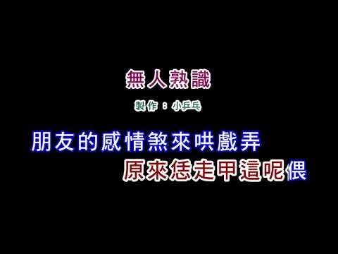(伴奏版)張清芳-無人熟識(DIY卡拉OK字幕)
