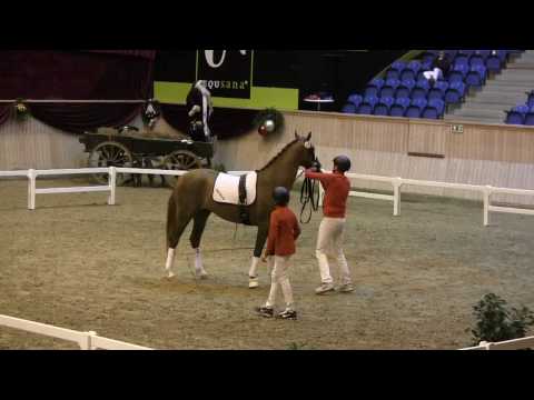 Liam G forbesigtigelse Wilhelmsborg