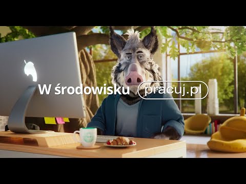 W środowisku Pracuj.pl - Jak dzik w karierę