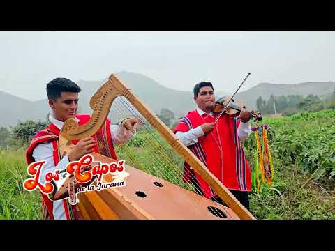 LOS CAPOS DE LA JARANA   TEMA: LA SIGO AMANDO