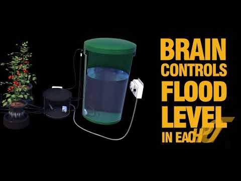 IWS Flood and Drain   Hydroponic System
