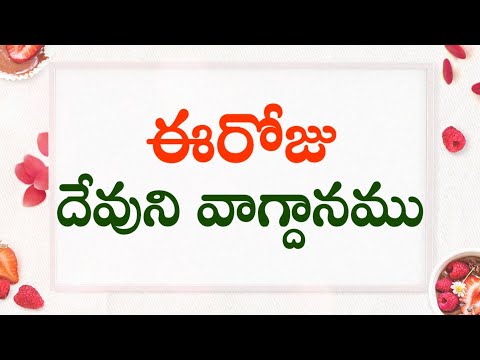 Word Of God : Today God's Promise (Isaiah 49:15)