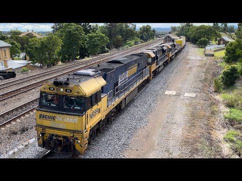Pacific National NR89, LDP003 & LDP005 with 4BS4 at East Maitland - 13/4/23