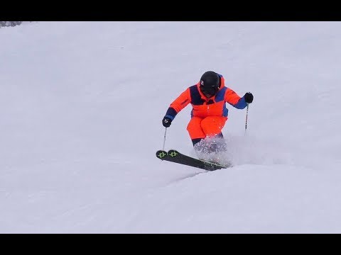 Dolphin Turns Mogul Skiing Demo - Reilly McGlashan
