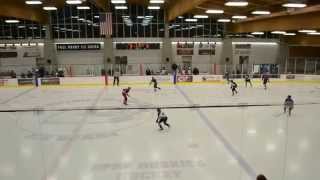 preview picture of video 'Oak Park Ice Bears vs Niles Rangers_pt1'