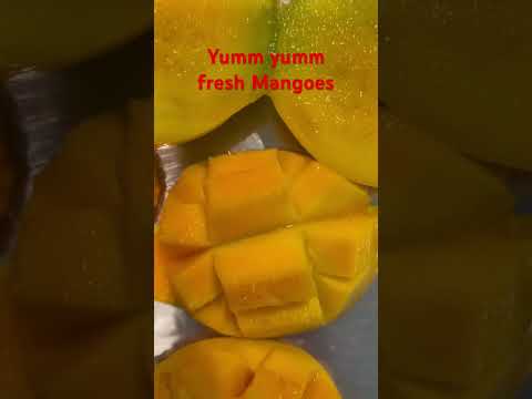 mangoes from mango farm in Florida #kingofthefruits