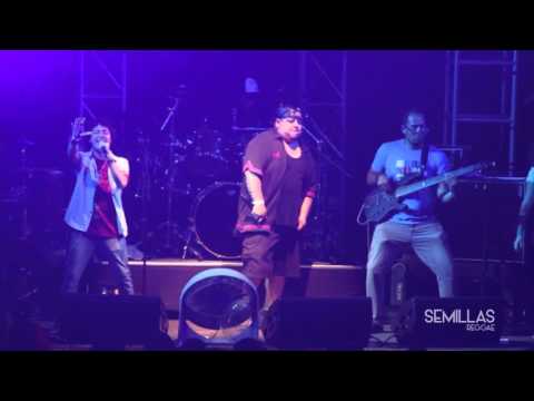 Semillas Reggae - Mundo de ensueño en vivo Reggae Sessions 2015