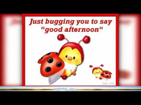 WhatsApp Video Status | GOOD AFTERNOON WISHES | Ashim Khan MP |