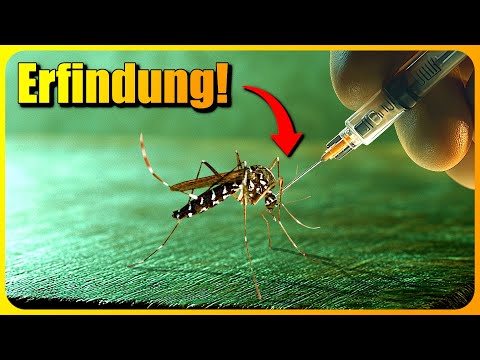 Forscher erfinden etwas GENIALES gegen Mosquitos! Sind wir jetzt sicher?
