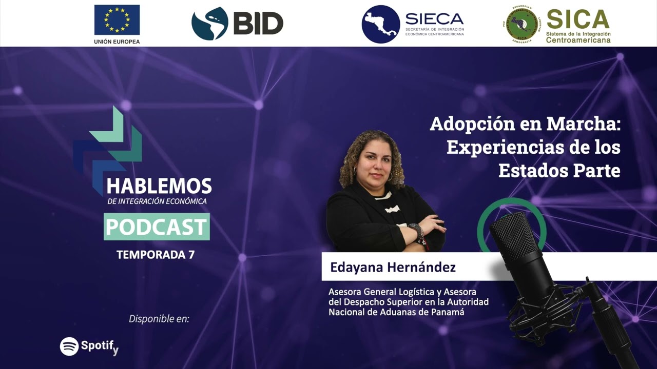 Adopción en marcha: experiencias de los Estados Parte