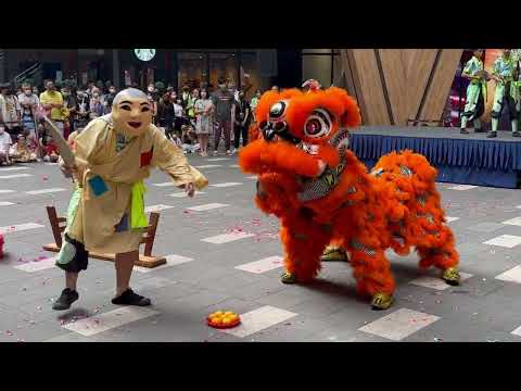 獅子龍