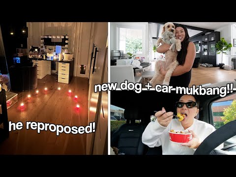 HE REPROPOSED!! car mukbang + new dog!!
