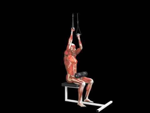 Alternating Close Grip Pulldown (Cable)