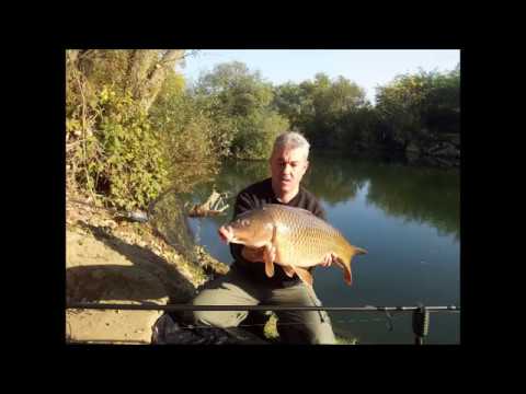 Bata Brankovic - Zapadna Morava - Saran - Carp - C&R