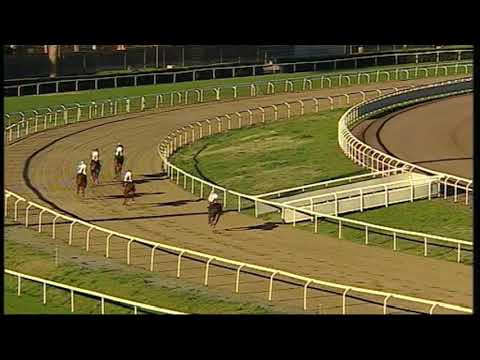 rm 20191224 01 p awoldersprinter