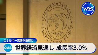 世界経済見通し 成長率3.0％ エネルギー高騰が重荷に【WBS】