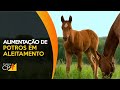 Curso Administração da Pequena Empresa Rural