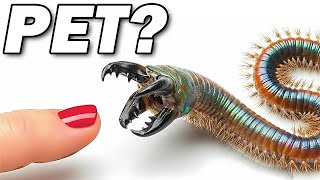 I Got a Pet Mutant Worm