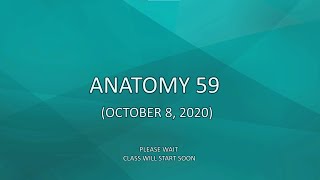 Anatomy 59 (October 8, 2020 Video credit: Farabi)