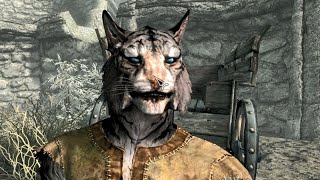 I. Skyrim запись 15/11
