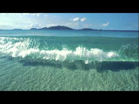 Deltree-Badal,Zya & Teddy C