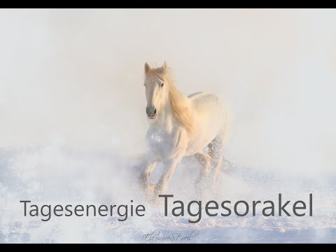 Tagesorakel Dienstag 18.02.2020 - Das Leben ist magisch