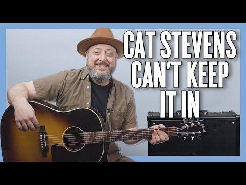 Cant keep it in - Cat Stevens