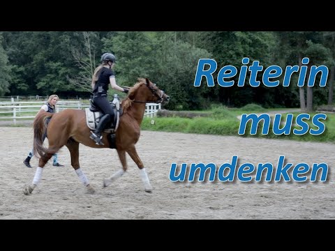 Reiterin muss komplett umtrainieren - Wallach Dino im Training bei Ariane Telgen