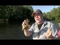 Arkansas Bream in May 