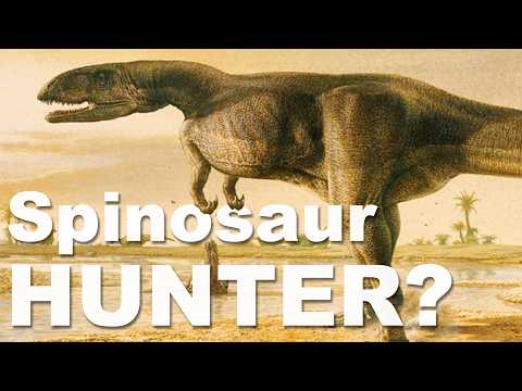 The English Dinosaur Feared By Spinosaurs