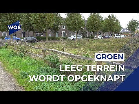 'Klein bosje' op supermarktlocatie Den Hoorn