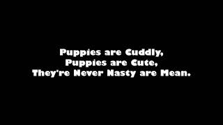 Miss Achmetha - Lost Puppies (Lyrics)