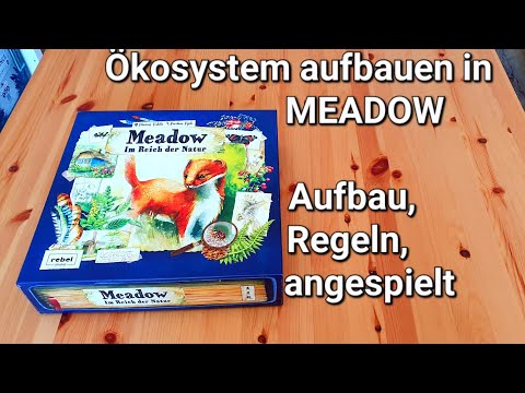 Familienspiel MEADOW, Im Reich der Natur // #brettspielvibes