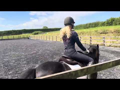 Desi jones Gronway cymro Bach main Avena summer championships for May doing the prelim 2c