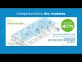 Serviço Para Controle De Roedores Em Tetos