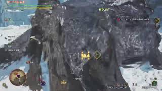 モンハンワイルズ　1乙即終了歴戦☆8ゴアTA練習 片手剣