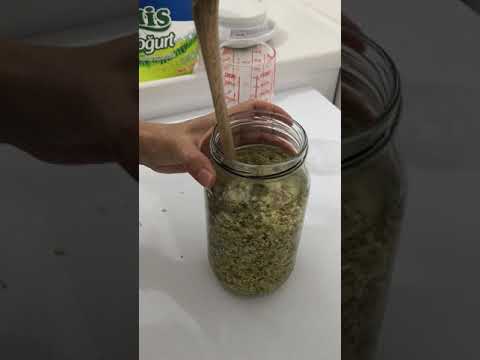 Kara Mürver Nasıl Tüketilir ? Faydaları Neler ?