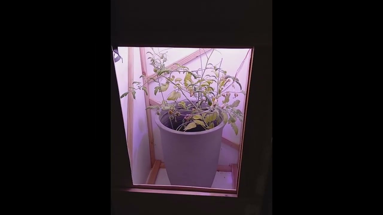Raspberry Pi - Automated Greenhouse - Python/Tkinter - Adafruit
