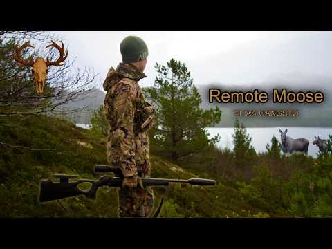 Solo Moose Hunt in Norway – Unexpected Ending