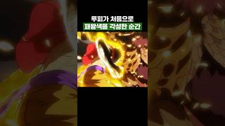 원피스) 루피가 처음으로 패왕색을 각성한 순간 #원피스