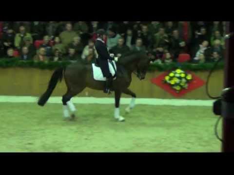 FÜRST ROMANCIER von Fürst Heinrich / Romancier