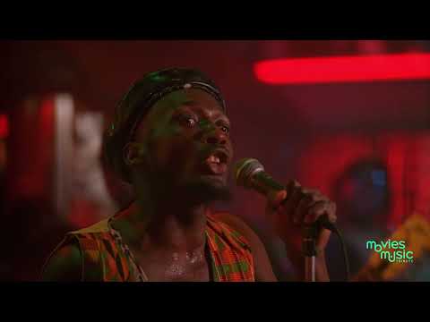 Steven Seagal and the Rhythms of Reggae Magic