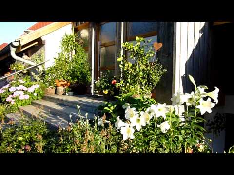 Ferienhaus Schwarzwald Ferienwohnungen Suedterrasse