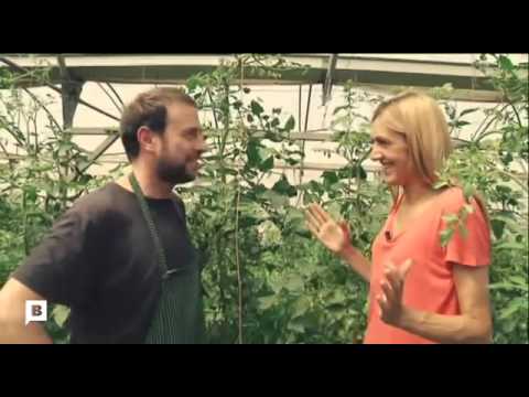 download lagu mp3 mp4 Cor De Bou, download lagu Cor De Bou gratis, unduh video klip Cor De Bou