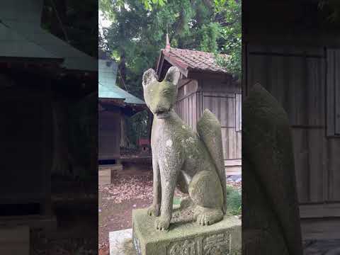 Walking Through Ibaraki  – A Peaceful Journey in Japan