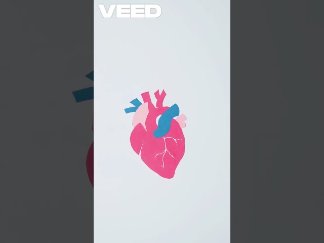 Egyptian Mummification Process