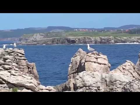 Mouro Island 2015 ED1M