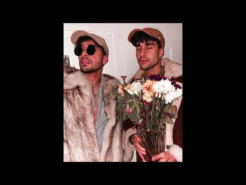 Miley Cyrus x Gloria Gaynor x Altégo - Flowers Will Survive